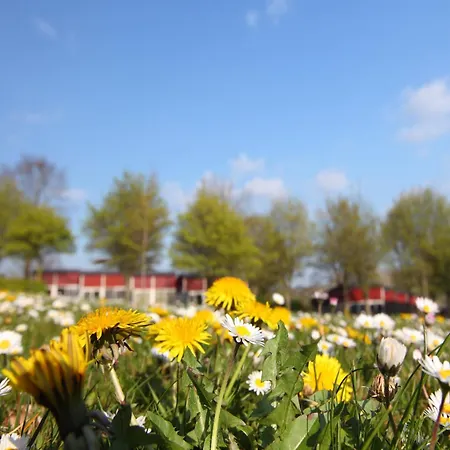 Holiday home Well-kept With Microwave, 4 Km From Valkenburg *