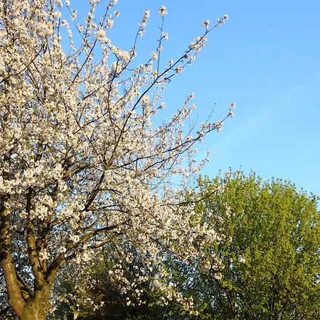 Holiday home Well-kept With Microwave, 4 Km From Valkenburg Walem